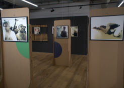 Mostra Paolo Ranzani